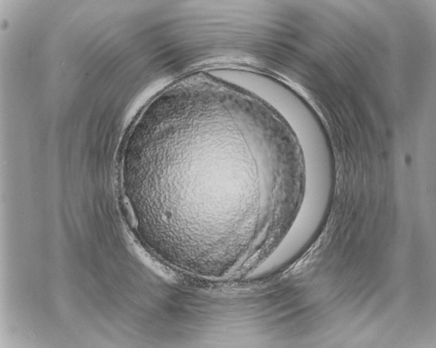 X0000070191042200606161546