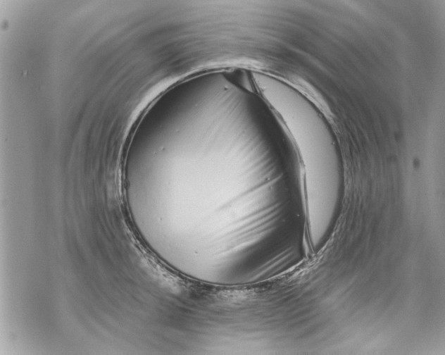 X0000070191044200606161546