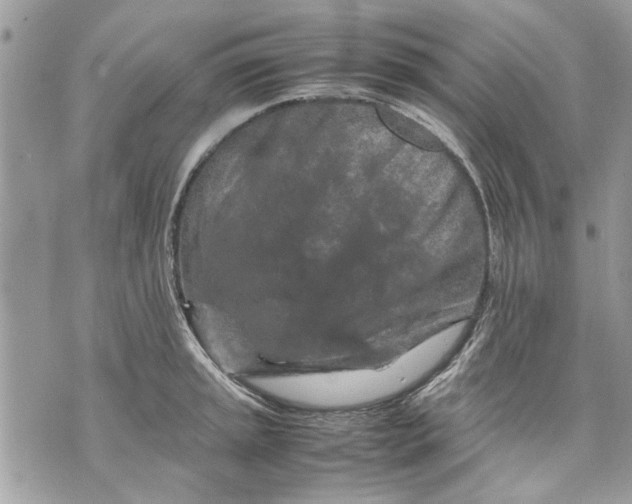 X0000070191045200606161546