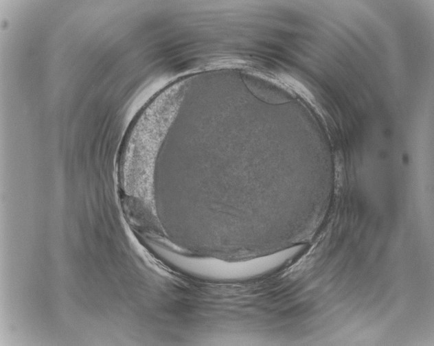 X0000070191047200606161546