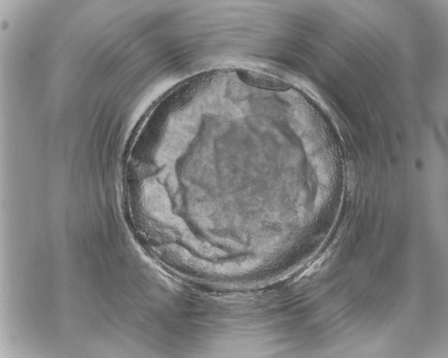 X0000070191048200606161546