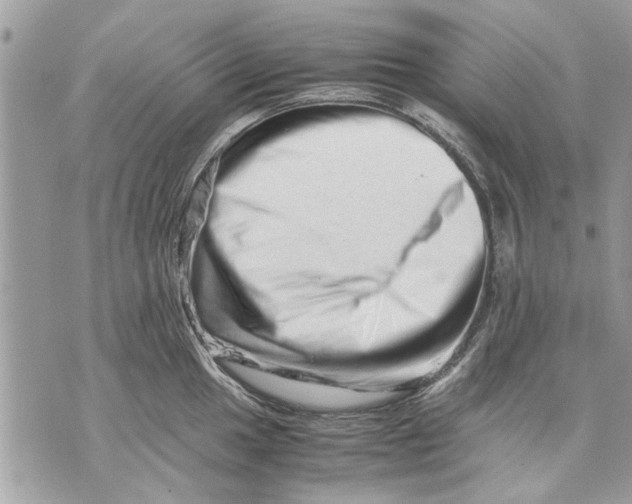 X0000070191049200606161546