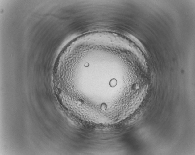 X0000070191051200606161546