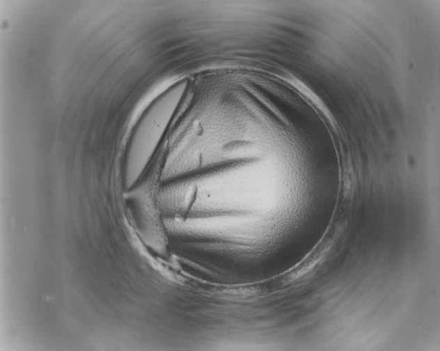 X0000070191053200606161546