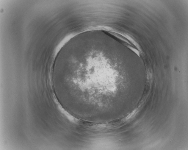 X0000070191054200606161546