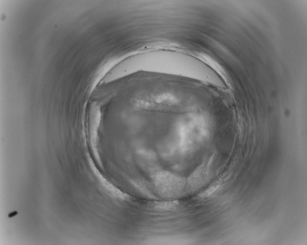 X0000070191055200606161546