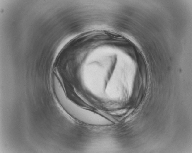 X0000070191056200606161546