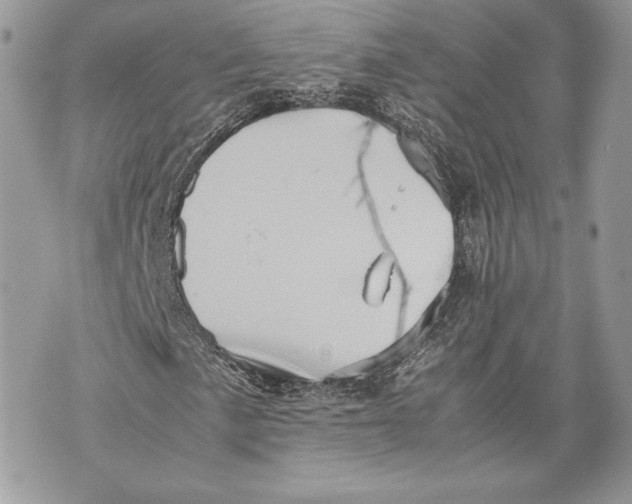 X0000070191057200606161545