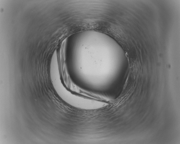 X0000070191058200606161545