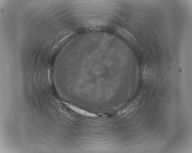 X0000070191060200606161545