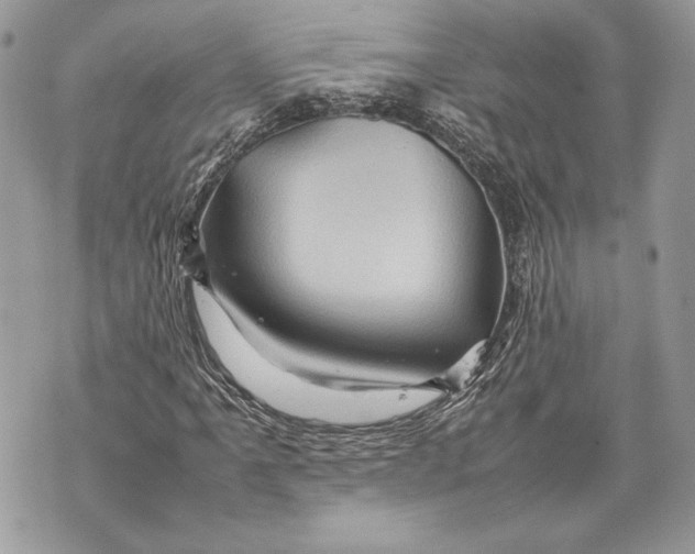 X0000070191061200606161545