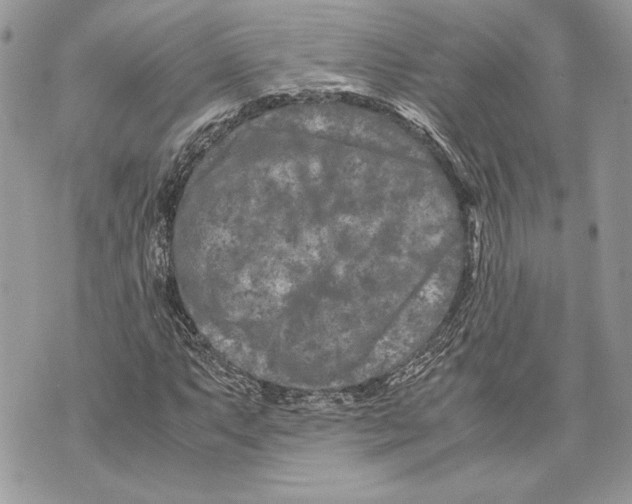 X0000070191063200606161545