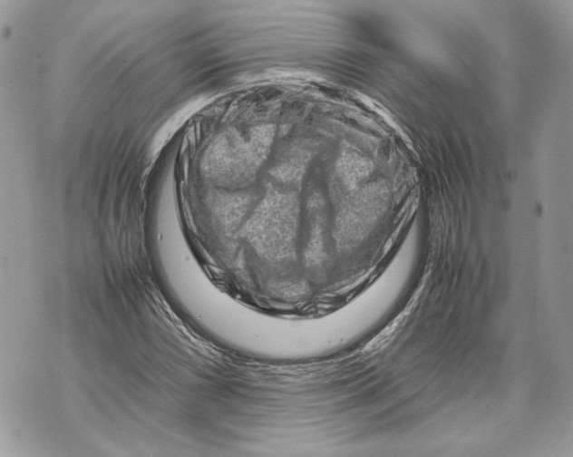 X0000070191066200606161545