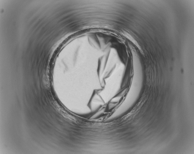 X0000070191068200606161545