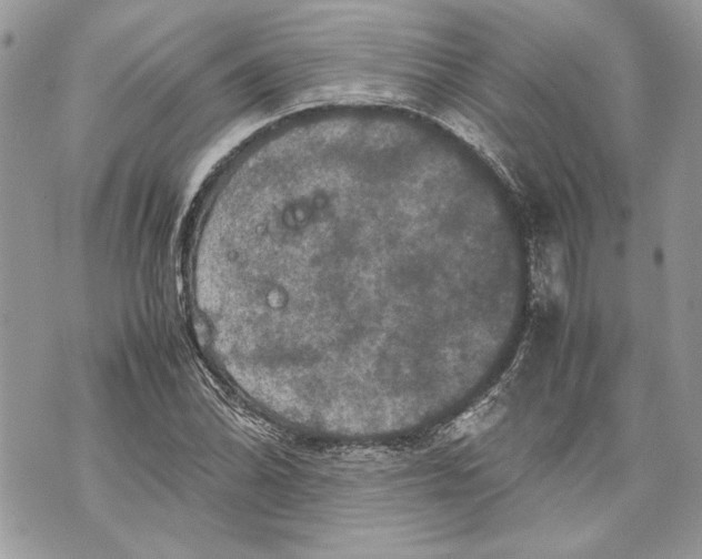 X0000070191070200606161545