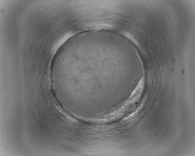 X0000070191071200606161545