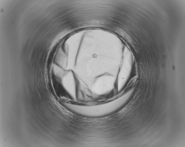 X0000070191072200606161545