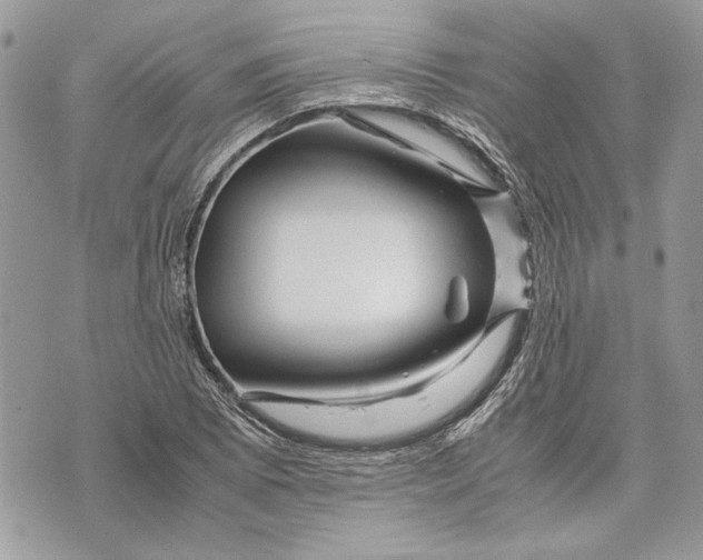 X0000070191073200606161545