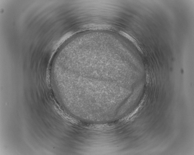 X0000070191074200606161545