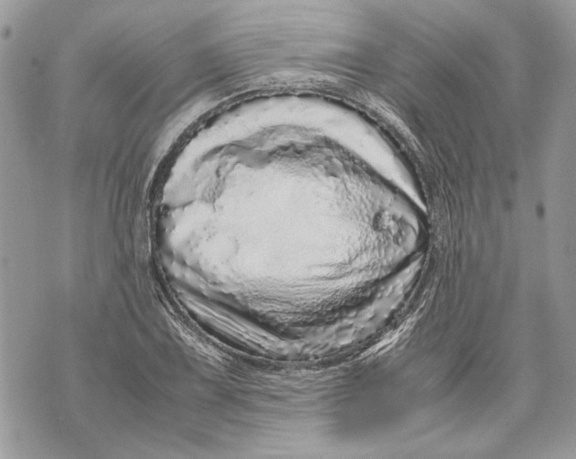 X0000070191075200606161545