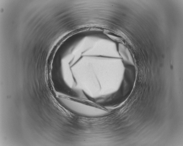 X0000070191076200606161545