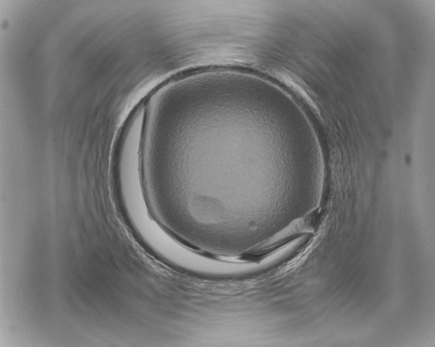 X0000070191077200606161545