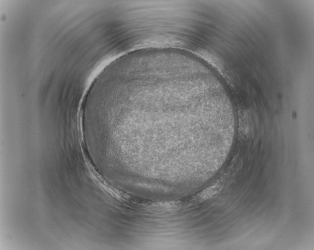 X0000070191078200606161545