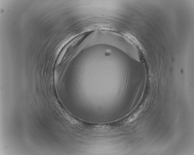 X0000070191081200606161545