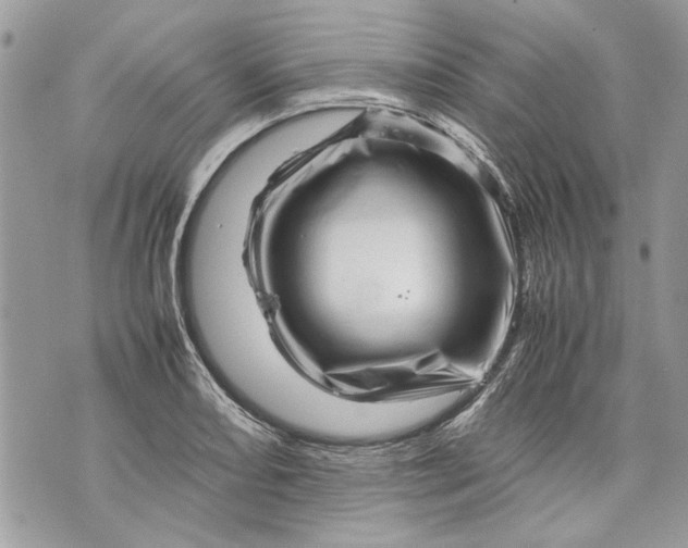 X0000070191082200606161545