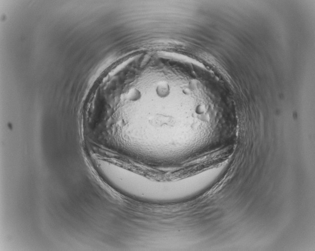 X0000070191083200606161545