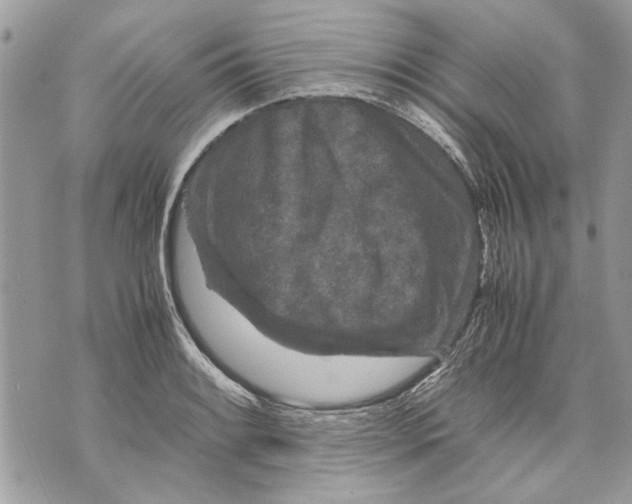 X0000070191084200606161545