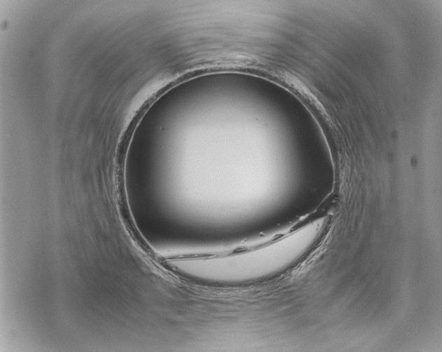 X0000070191085200606161545