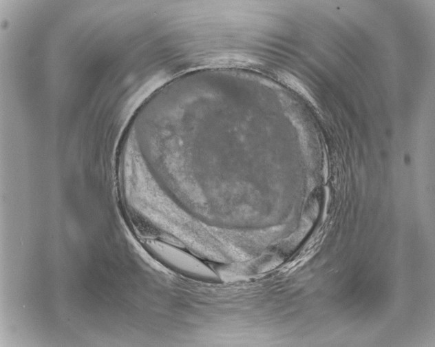 X0000070191087200606161545