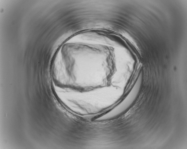 X0000070191088200606161545