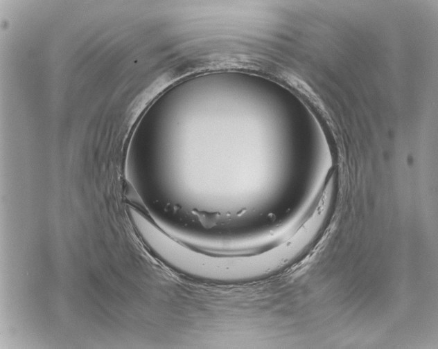 X0000070191089200606161545