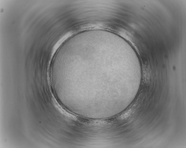 X0000070191090200606161545