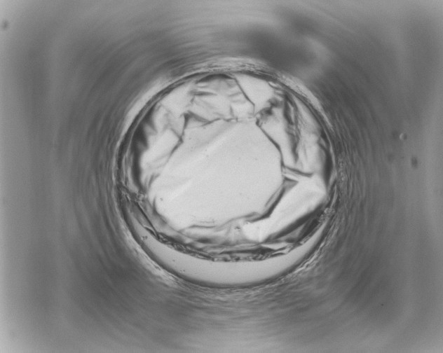 X0000070191091200606161545