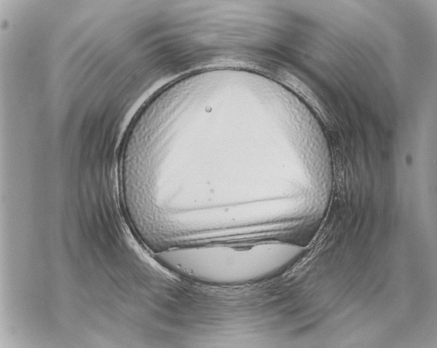 X0000070191092200606161545