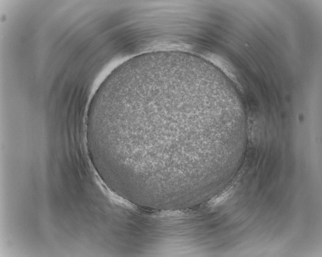 X0000070191094200606161545