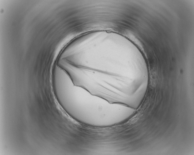 X0000070191096200606161544