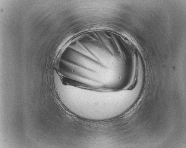 X0000070191097200606161544