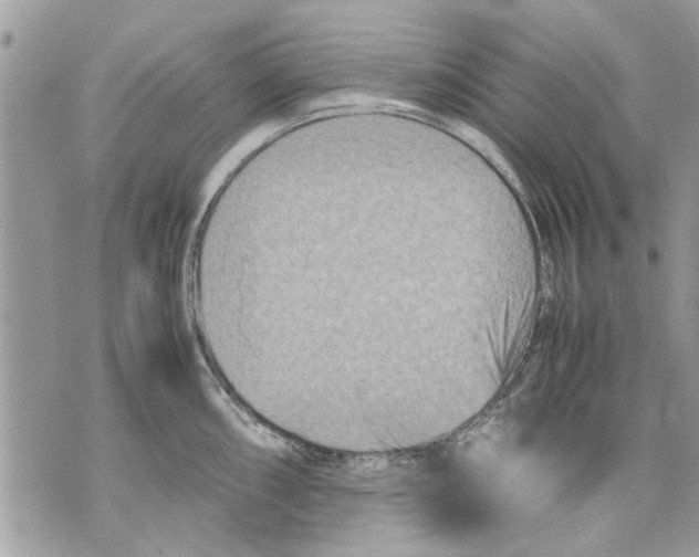 X0000070191098200606161544