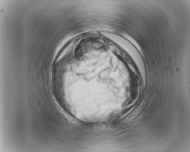 X0000070191099200606161544