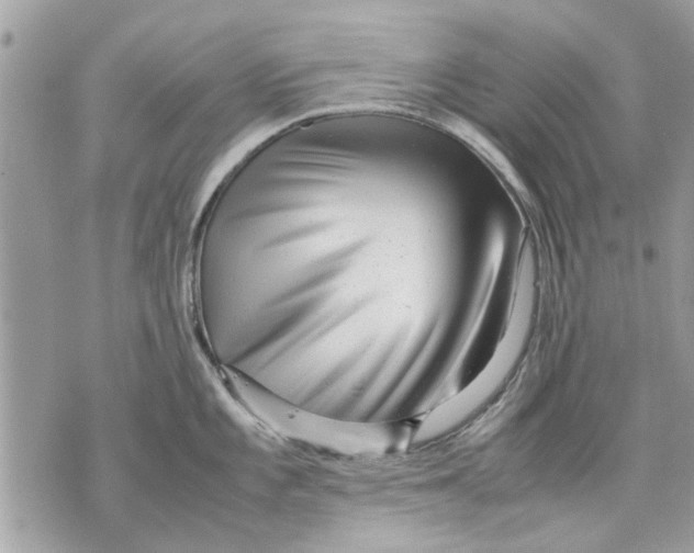 X0000070191101200606161544