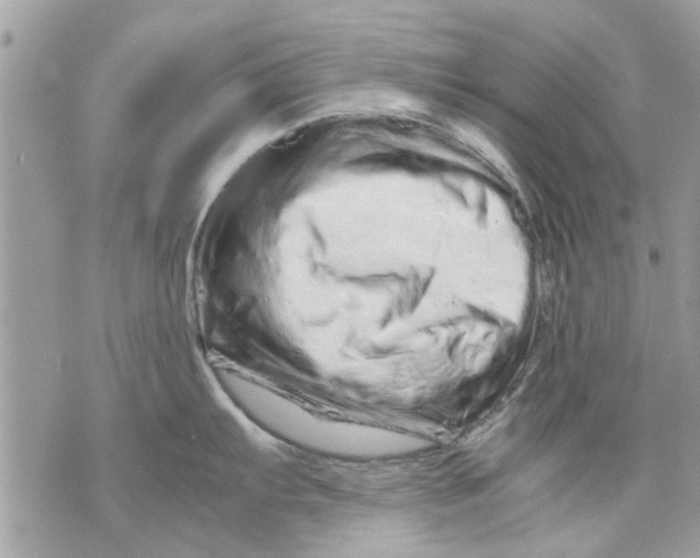 X0000070191103200606161544