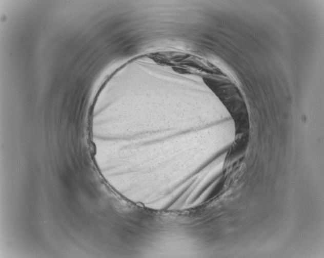 X0000070191104200606161544