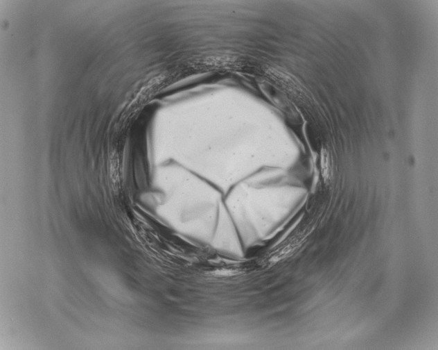 X0000070191107200606161543