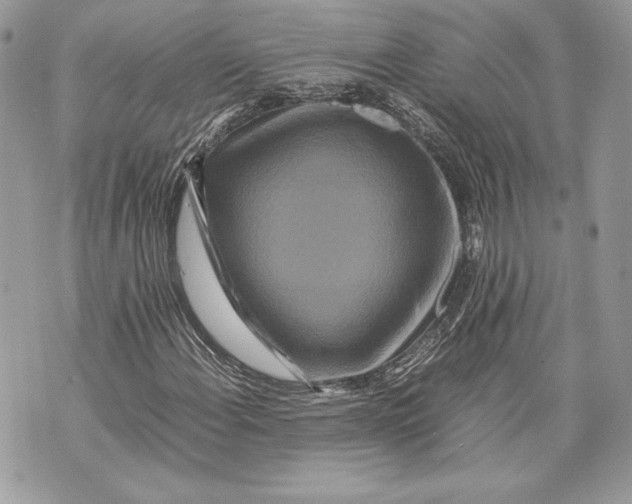 X0000070191108200606161543