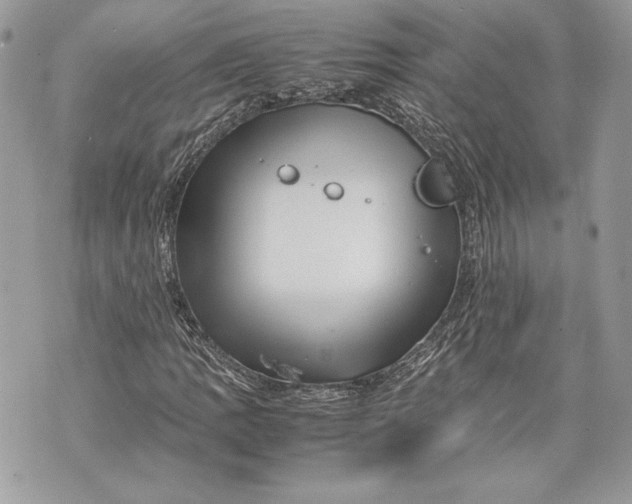 X0000070191109200606161543