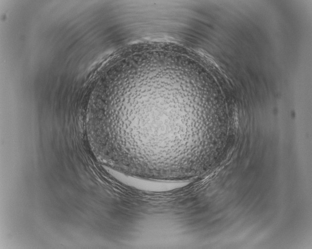 X0000070191110200606161543